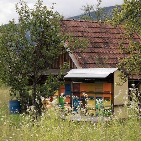 Apartma Petra Ravnik - Wanderer'S Hut Apartment Bohinj Bagian luar foto