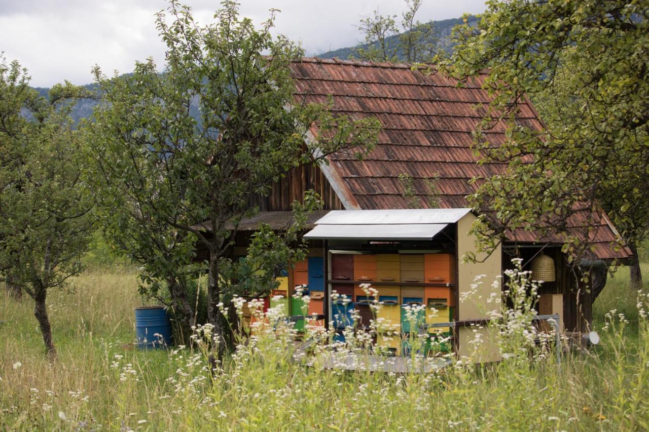 Apartma Petra Ravnik - Wanderer'S Hut Apartment Bohinj Bagian luar foto